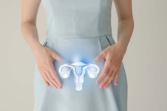 Warum die Pflege der Gebärmutter der Schlüssel zu weiblicher Vitalität ist – Entdecken Sie LITIAO Selbstliebe Heiltee