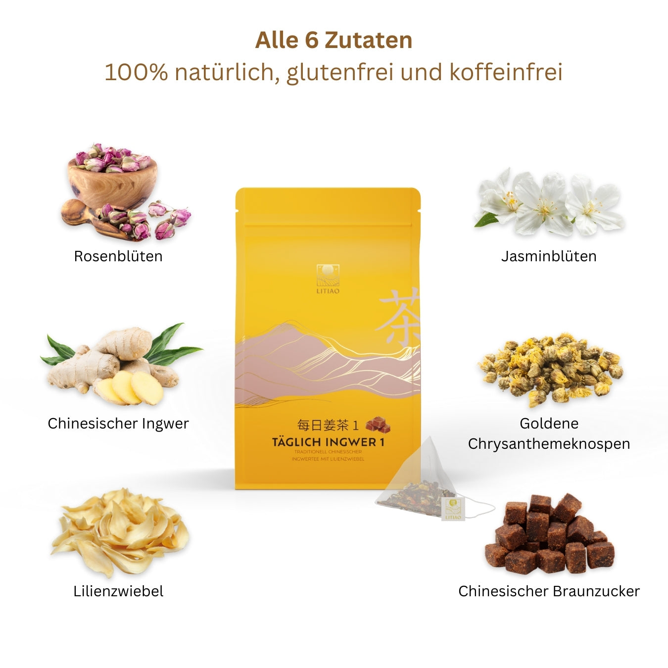TÄGLICH QUARTETT mit 3 Ingwertees & 1 Früchtetee