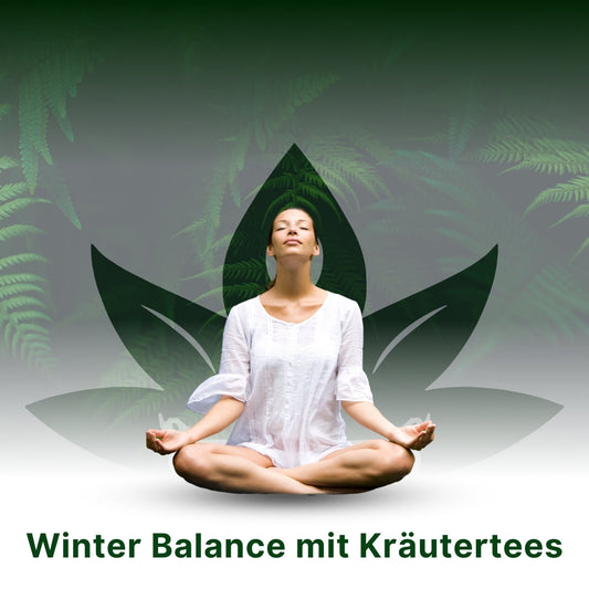Winter Balance mit Kräutertee – So unterstützen chinesische Kräuter Körper und Geist im Winter