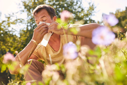 Heuschnupfen-Tee – Die Natürliche Lösung gegen Allergien