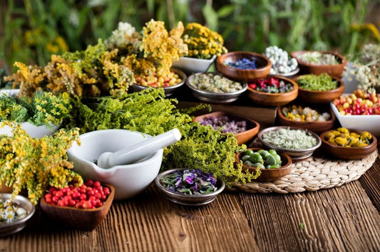 Die Wissenschaft hinter pflanzlicher Regulation der "drei hohen Werte": Ein evidenzbasierter Leitfaden