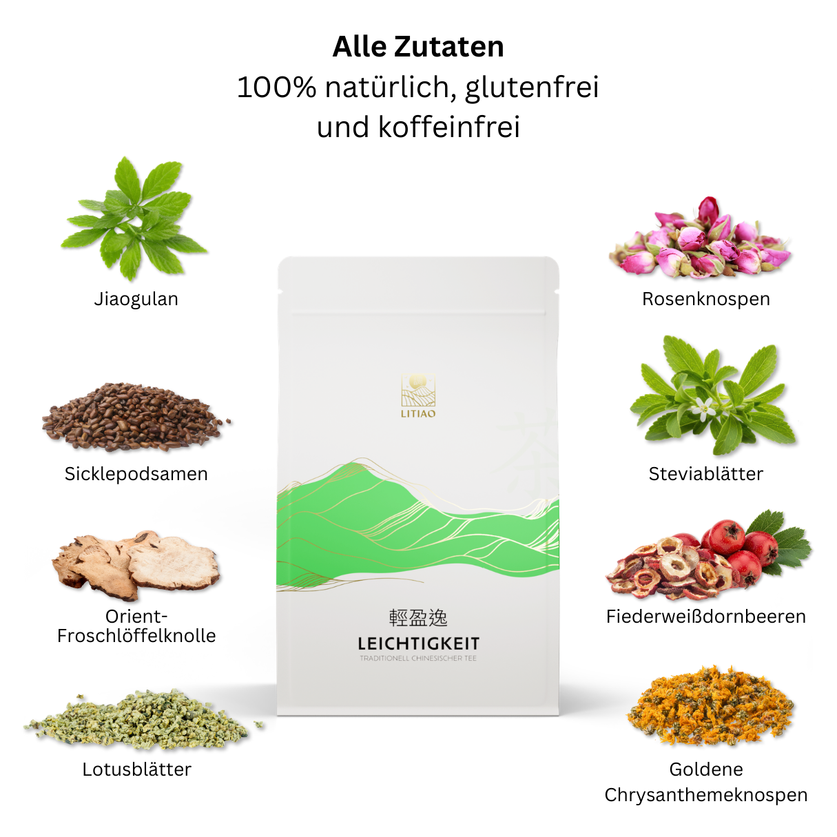 LEICHTIGKEIT - LITIAO