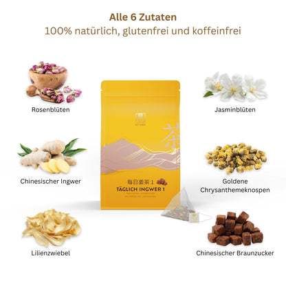 TÄGLICH QUARTETT mit 3 Ingwertees & 1 Früchtetee