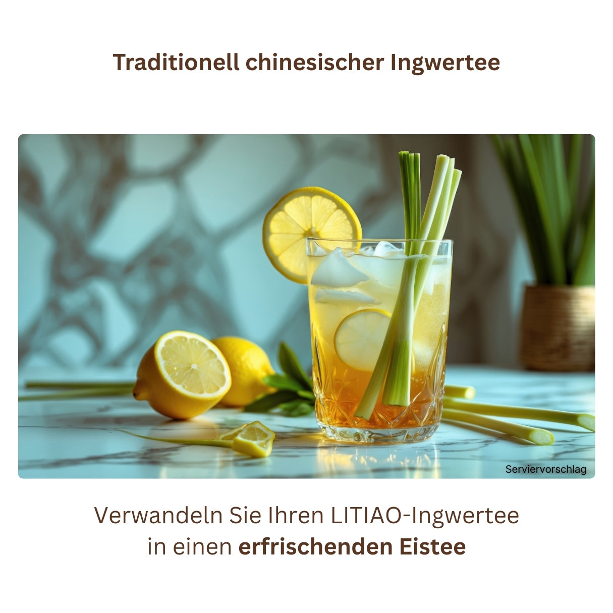 TÄGLICH INGWER-Set mit 3 Ingwertees - LITIAO